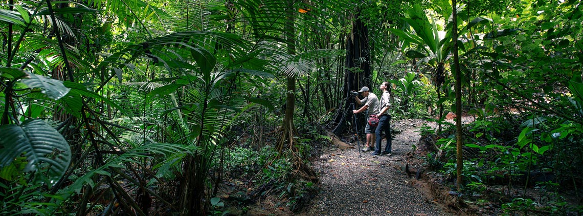 Esquinas Rainforest Lodge: Activities